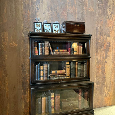Antiker modularer Bücherschrank Globe Wernicke - ca. 1910 - A018
